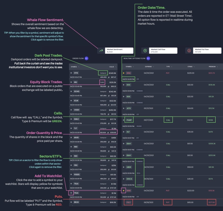 Real-time Options Flow Dashboard Overview